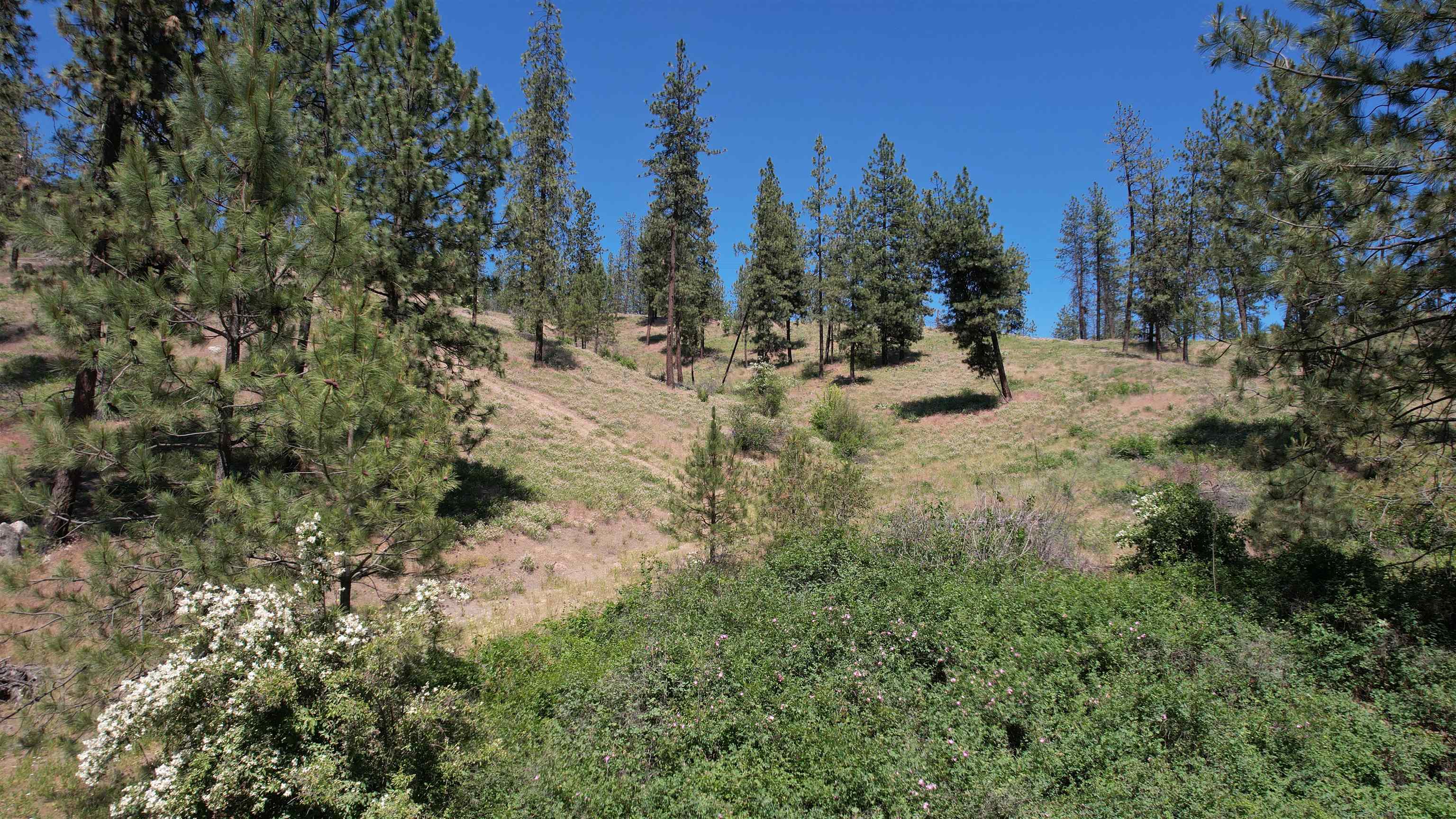 5550 Scotts Valley Rd - Photo 16