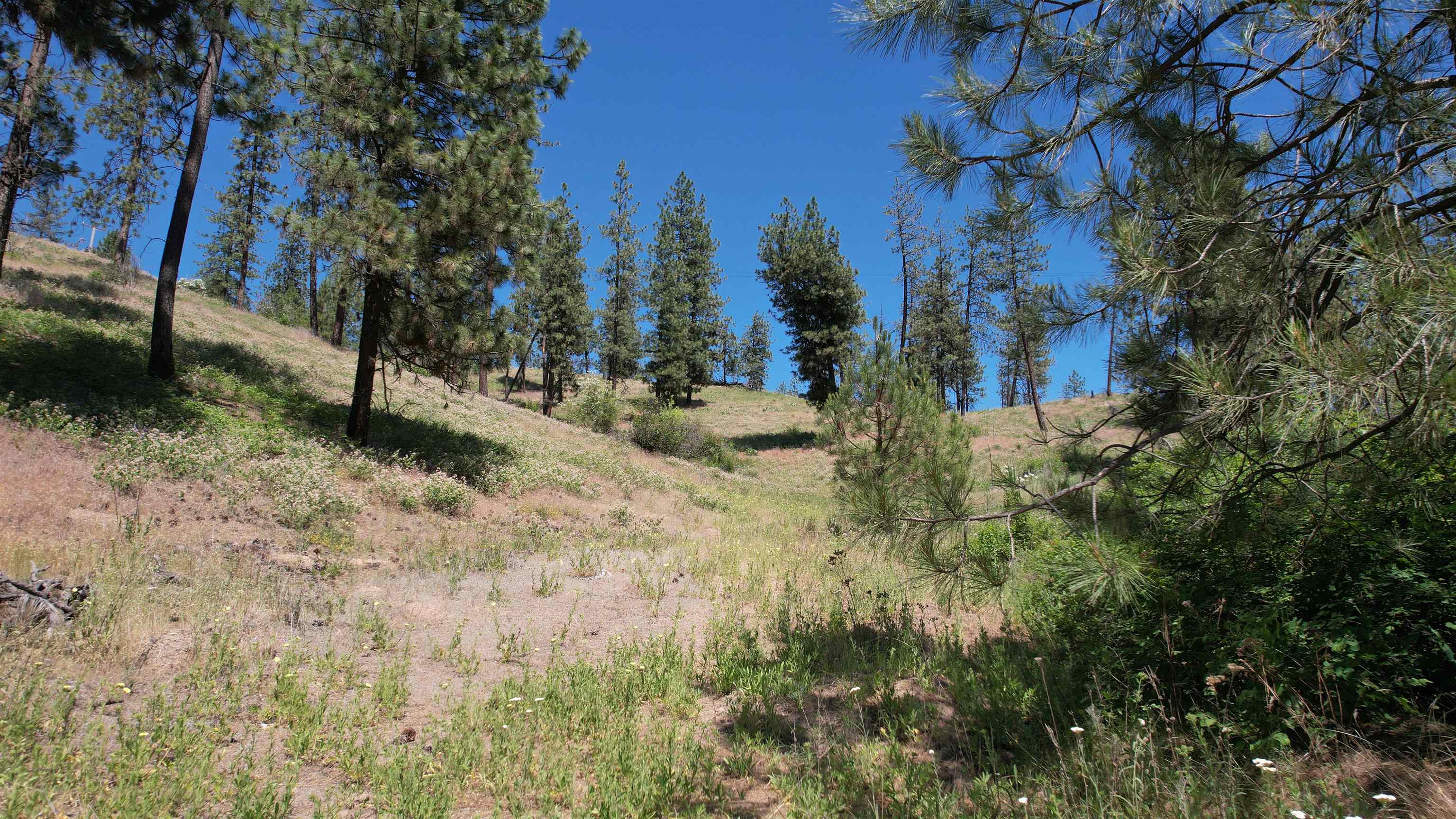 5550 Scotts Valley Rd - Photo 18