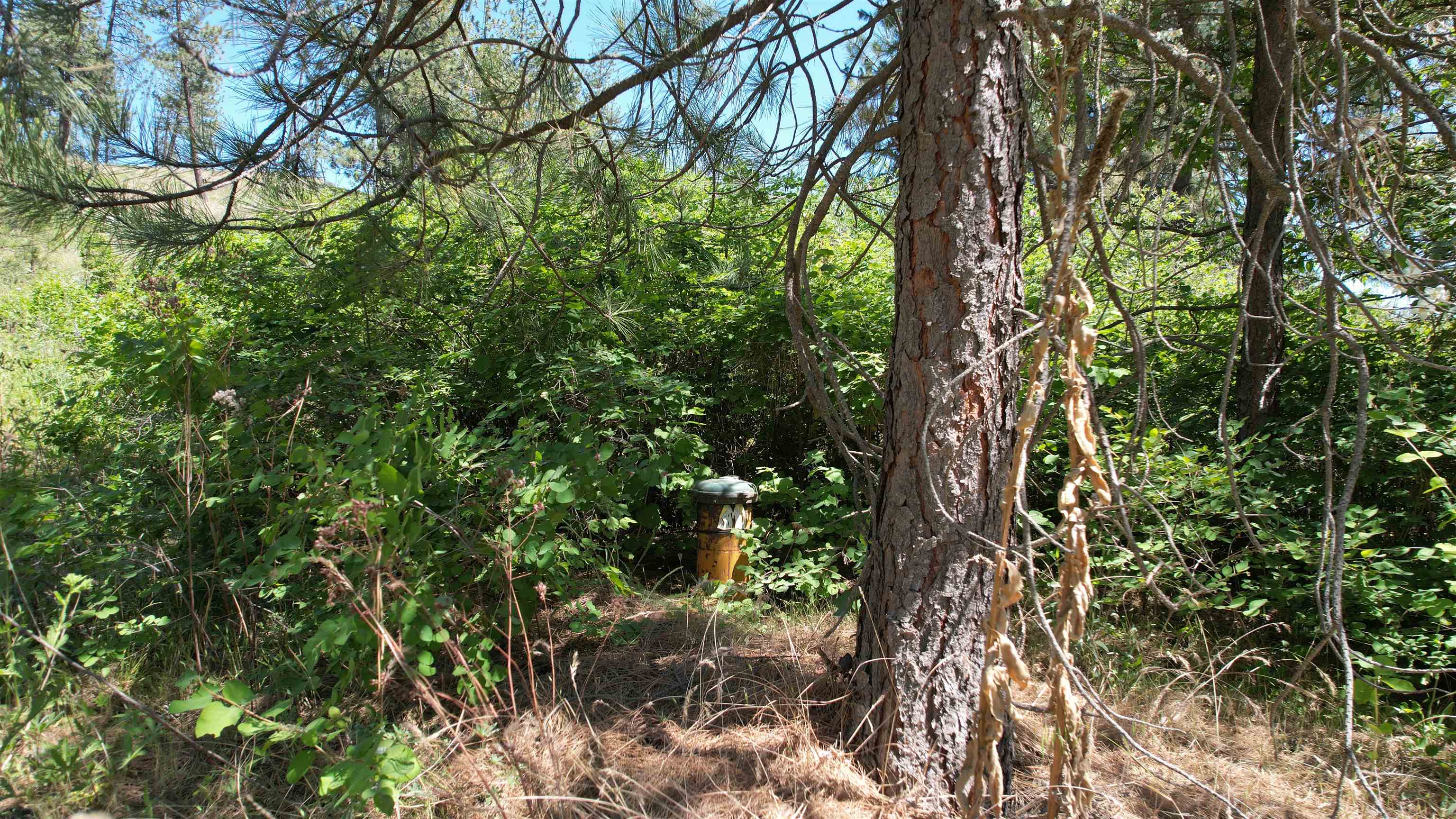 5550 Scotts Valley Rd - Photo 19