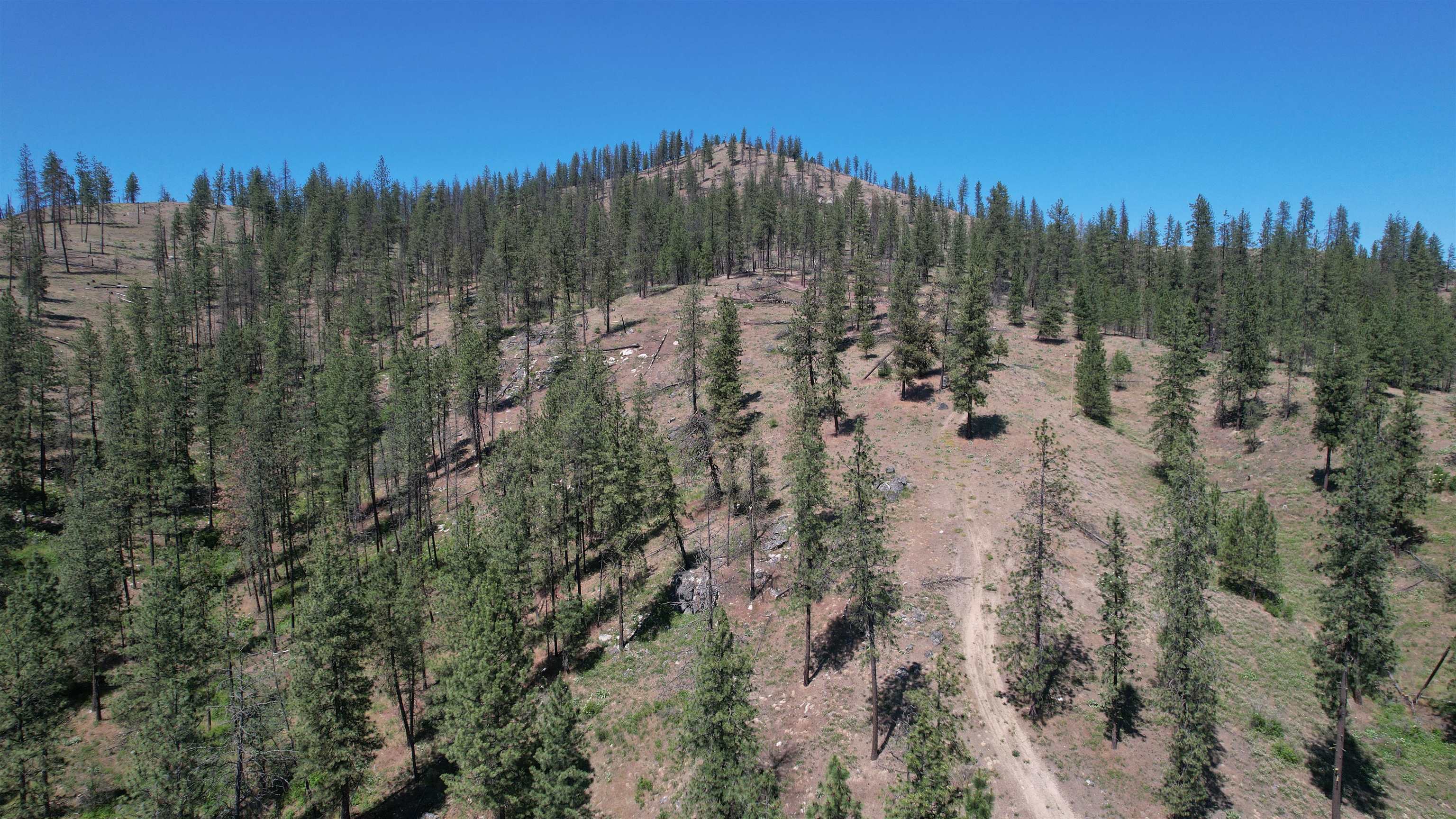 5550 Scotts Valley Rd - Photo 20