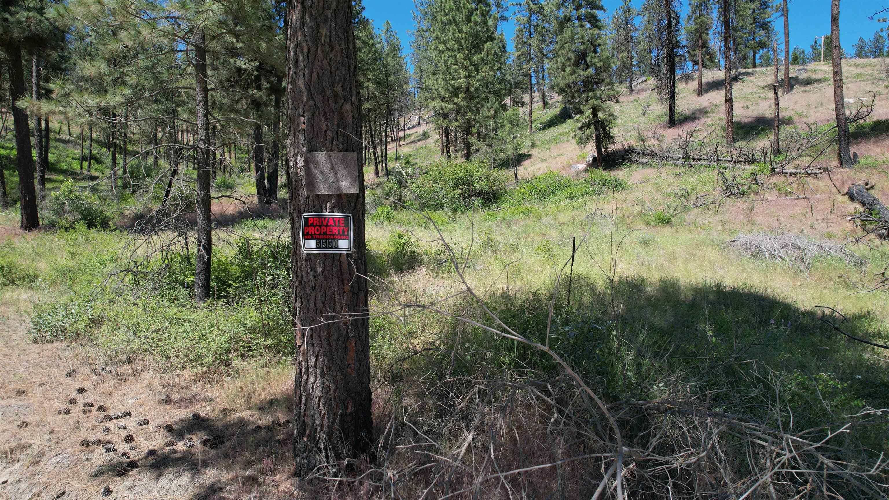 5550 Scotts Valley Rd - Photo 3