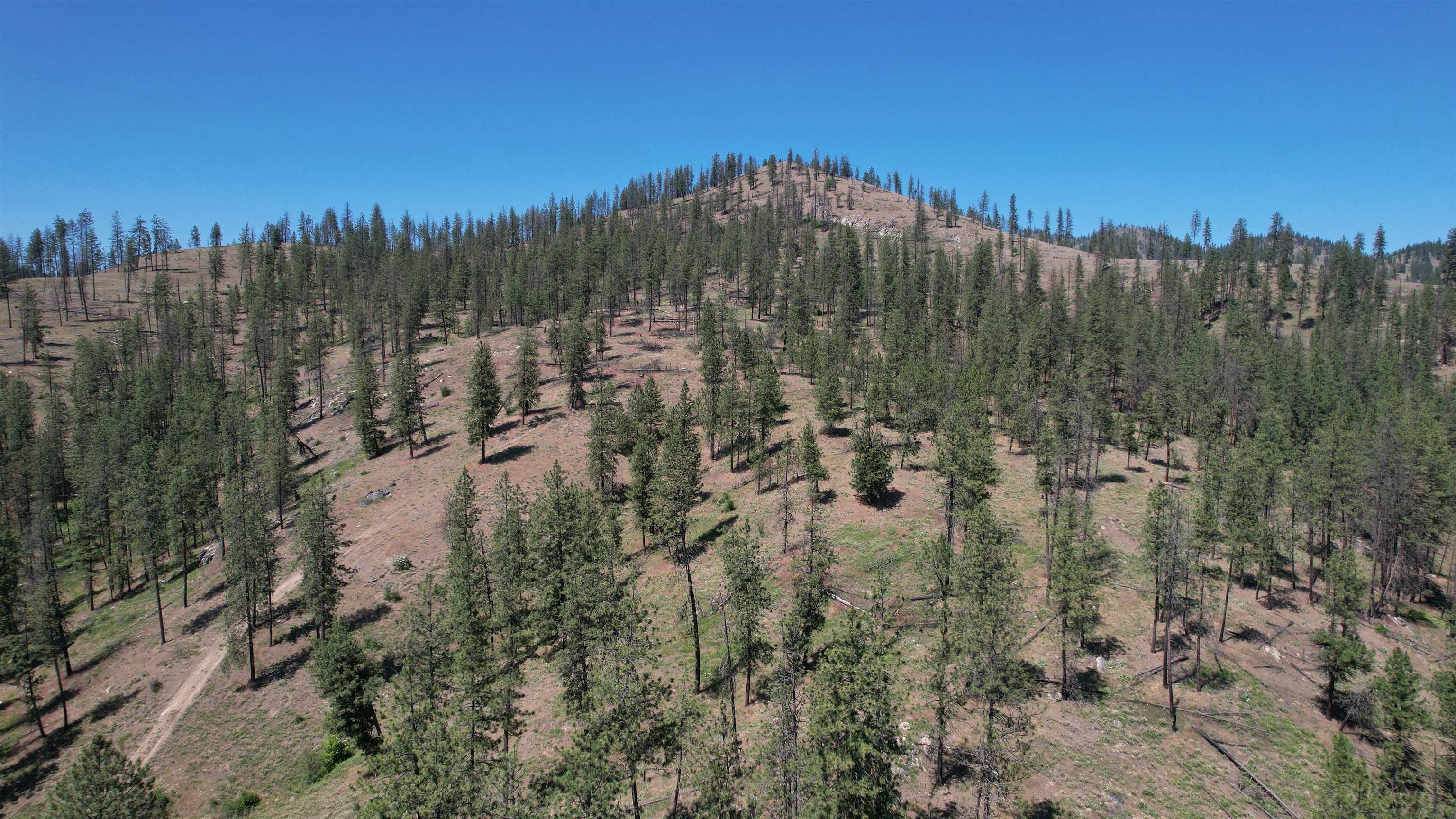 5550 Scotts Valley Rd - Photo 22