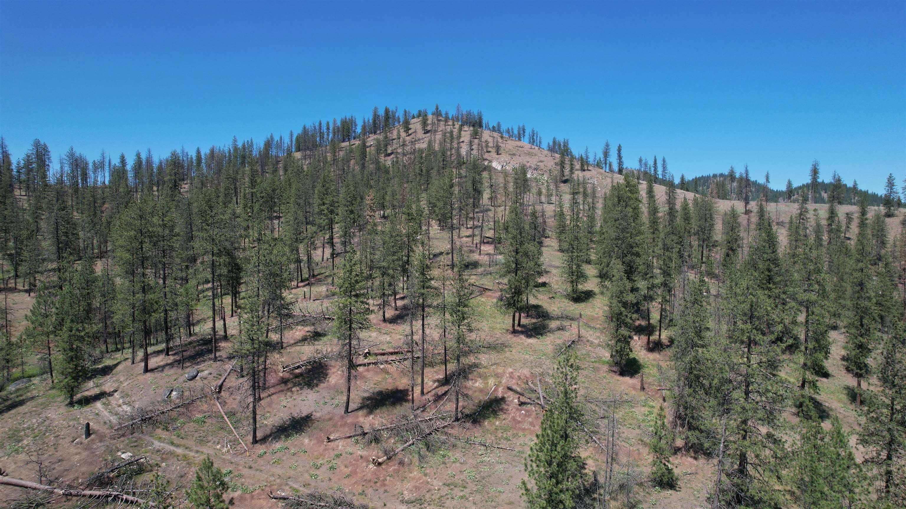 5550 Scotts Valley Rd - Photo 25