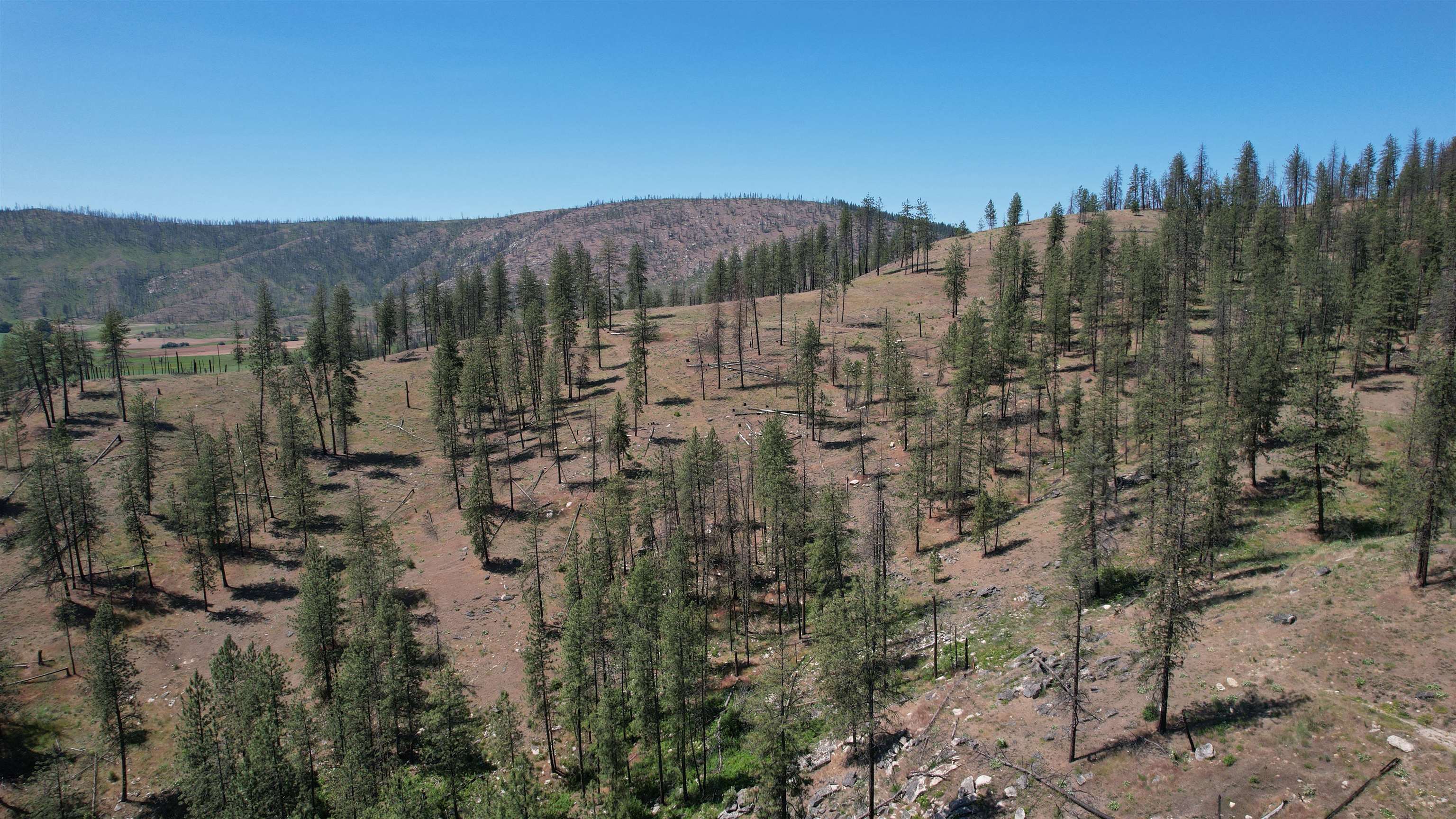 5550 Scotts Valley Rd - Photo 28