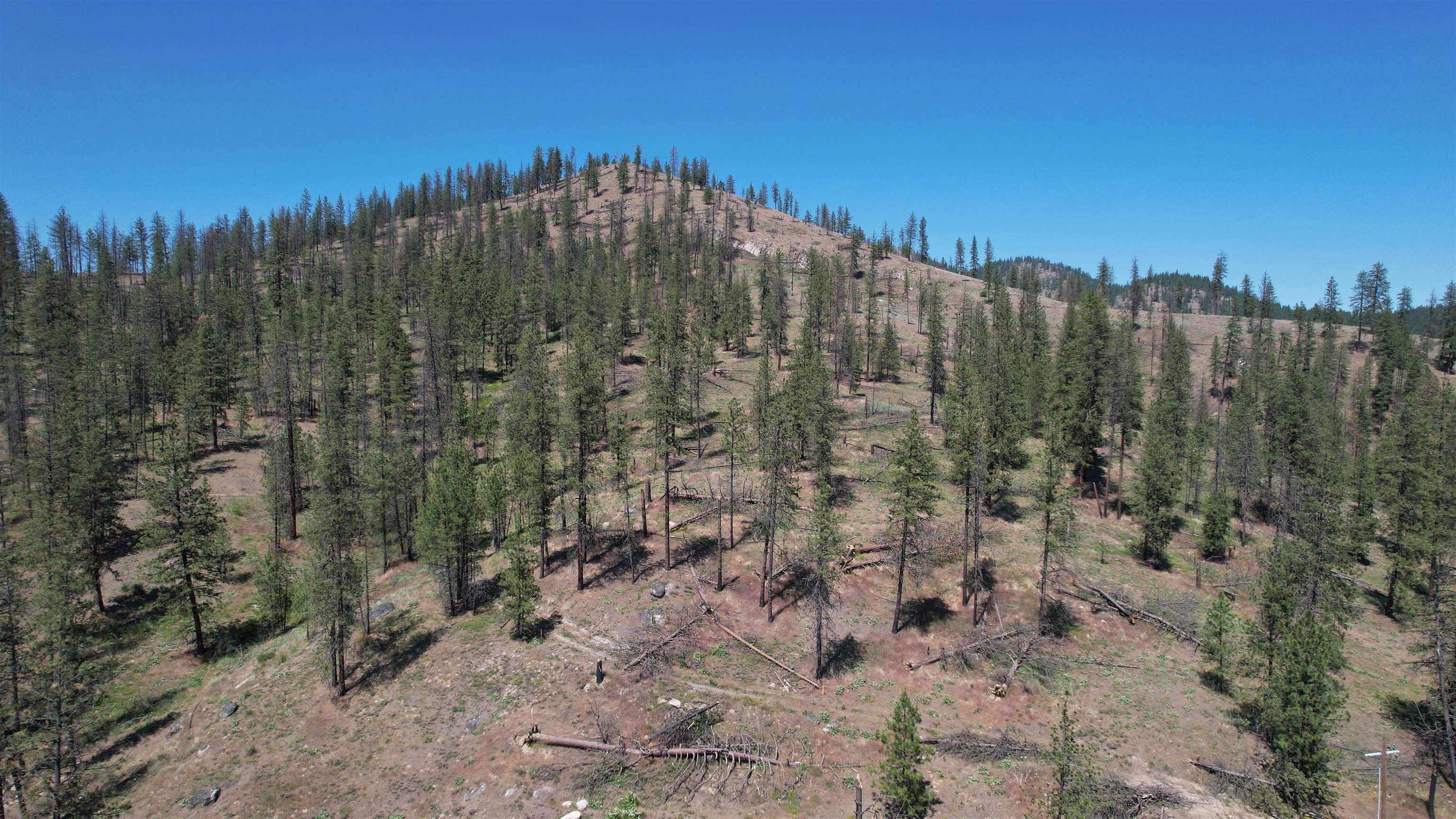 5550 Scotts Valley Rd - Photo 32