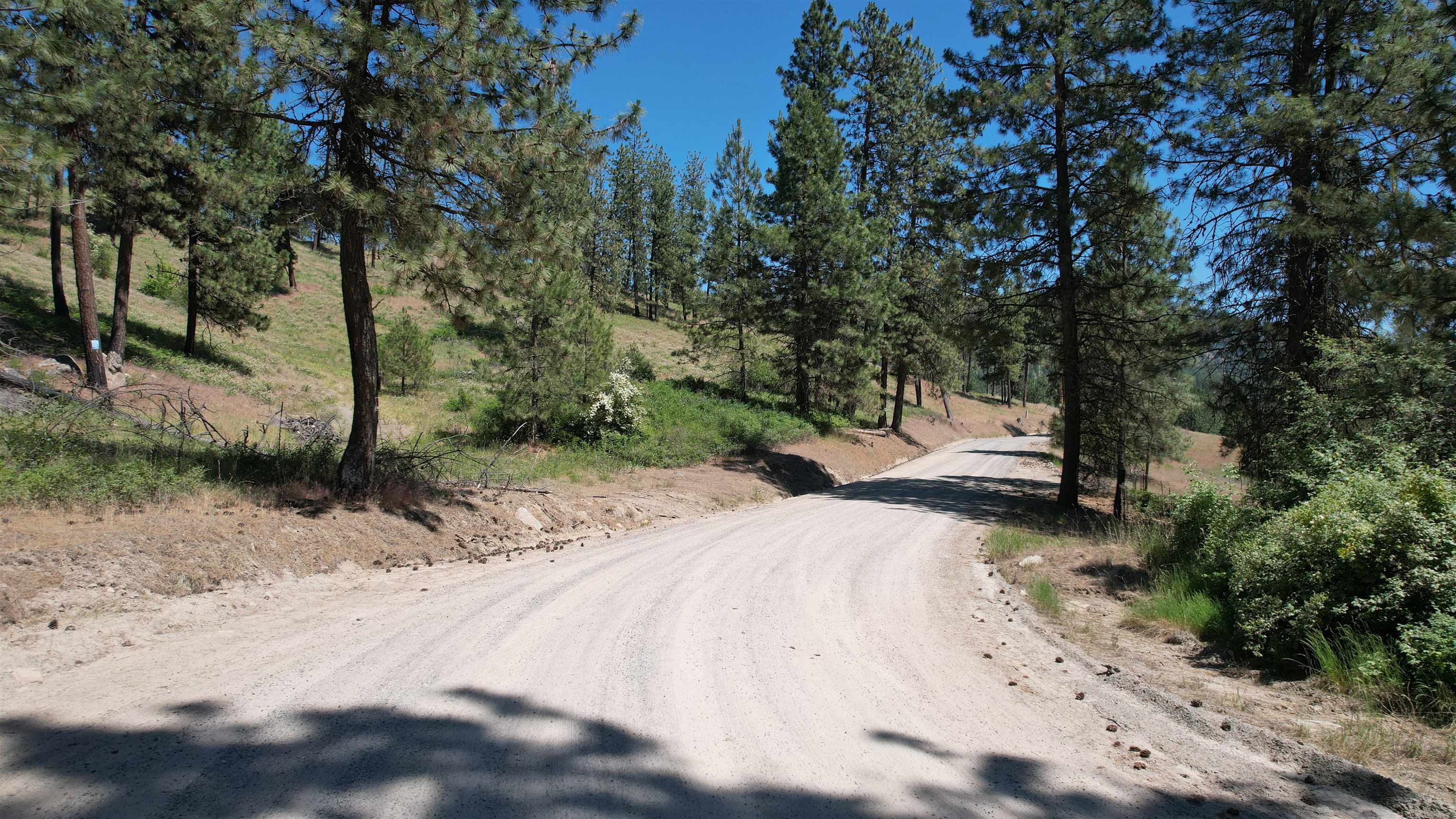 5550 Scotts Valley Rd - Photo 5