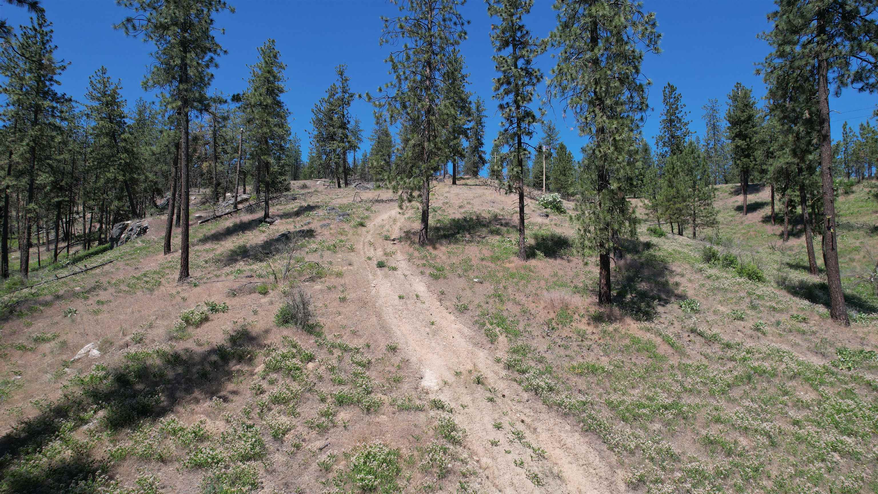 5550 Scotts Valley Rd - Photo 8