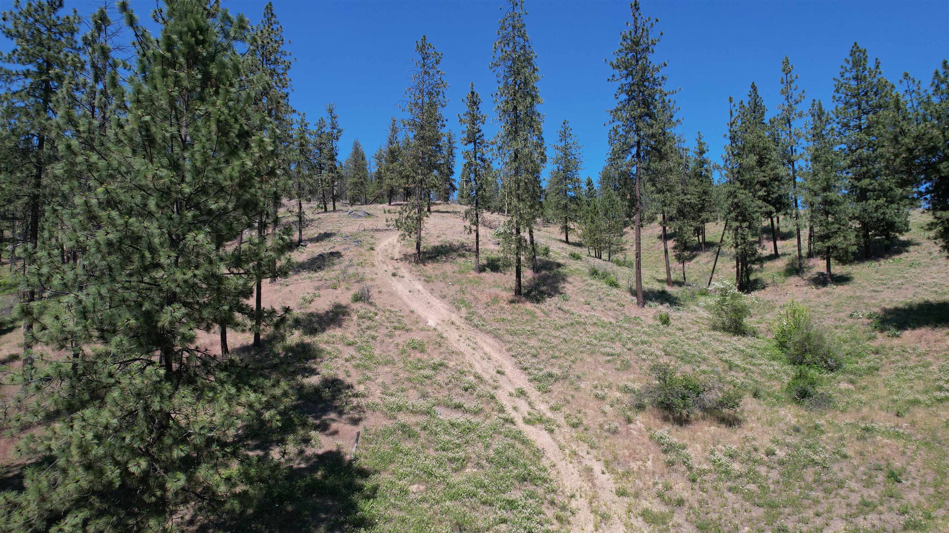 5550 Scotts Valley Rd - Photo 9