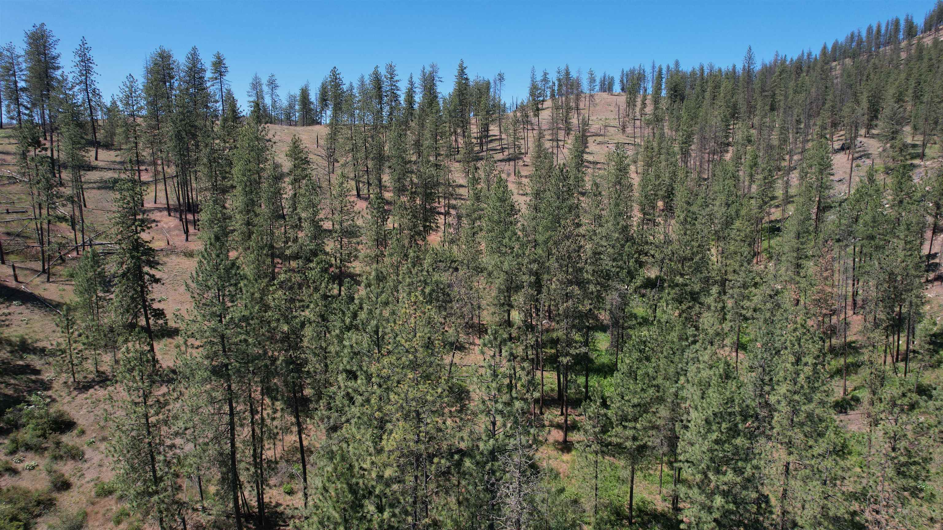 5550 Scotts Valley Rd - Photo 10