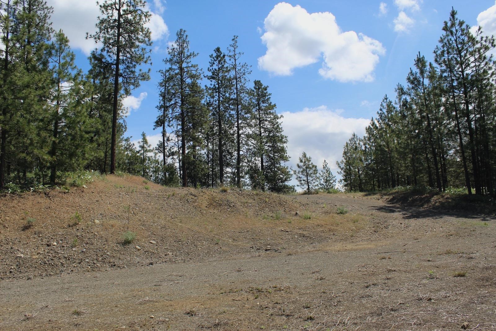 Flicker Lot 4 Sontag Ridge Dr - Photo 1