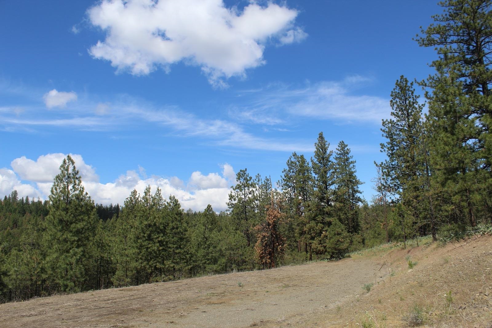 Flicker Lot 4 Sontag Ridge Dr - Photo 11