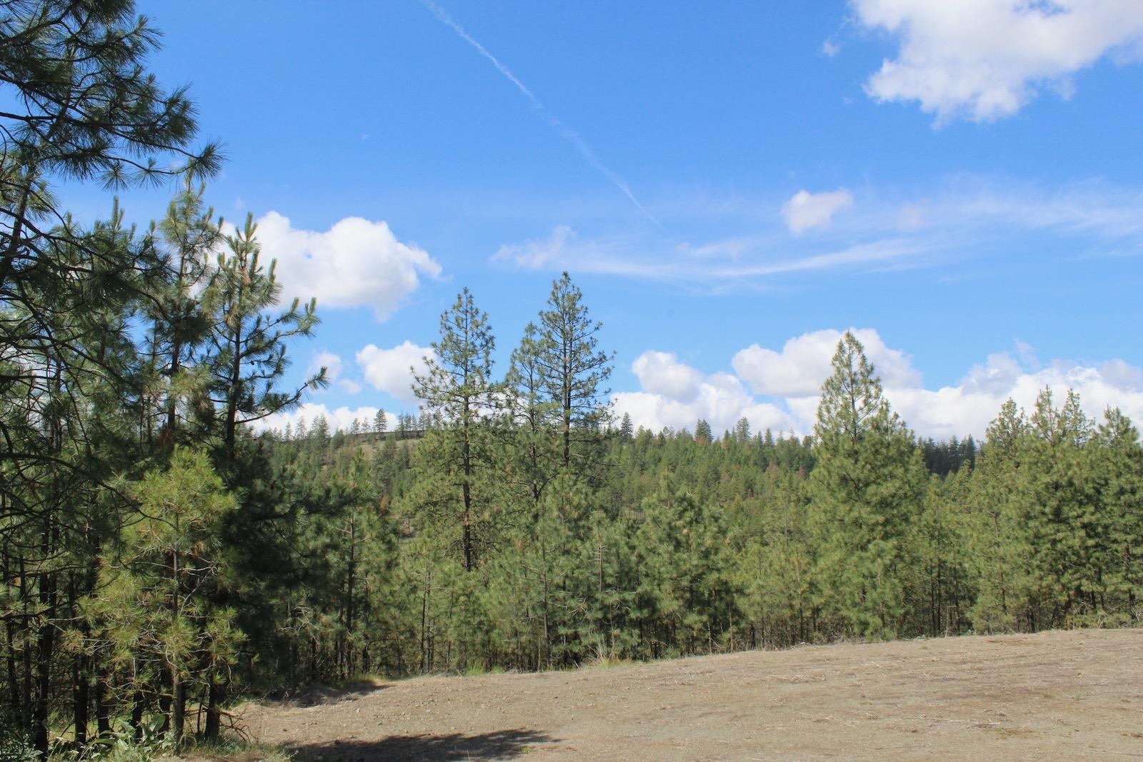 Flicker Lot 4 Sontag Ridge Dr - Photo 12