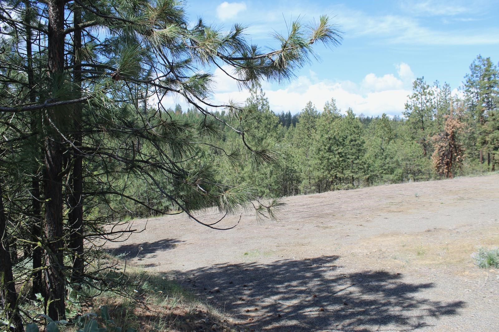 Flicker Lot 4 Sontag Ridge Dr - Photo 13