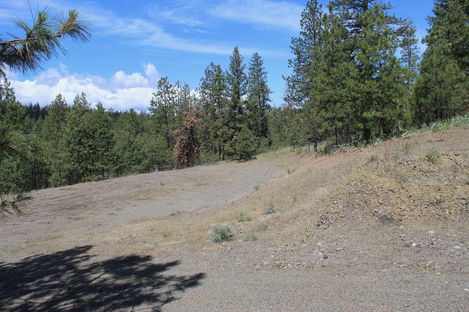 Flicker Lot 4 Sontag Ridge Dr - Photo 14