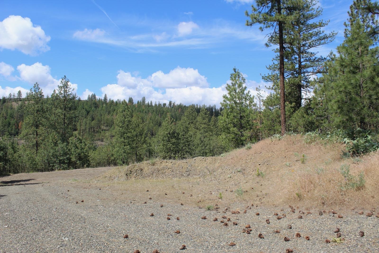 Flicker Lot 4 Sontag Ridge Dr - Photo 16