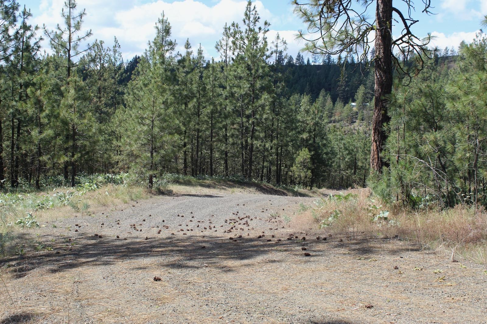 Flicker Lot 4 Sontag Ridge Dr - Photo 18