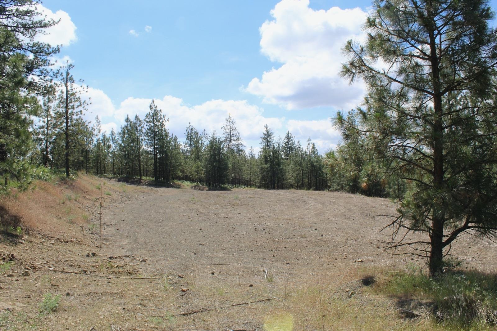 Flicker Lot 4 Sontag Ridge Dr - Photo 4