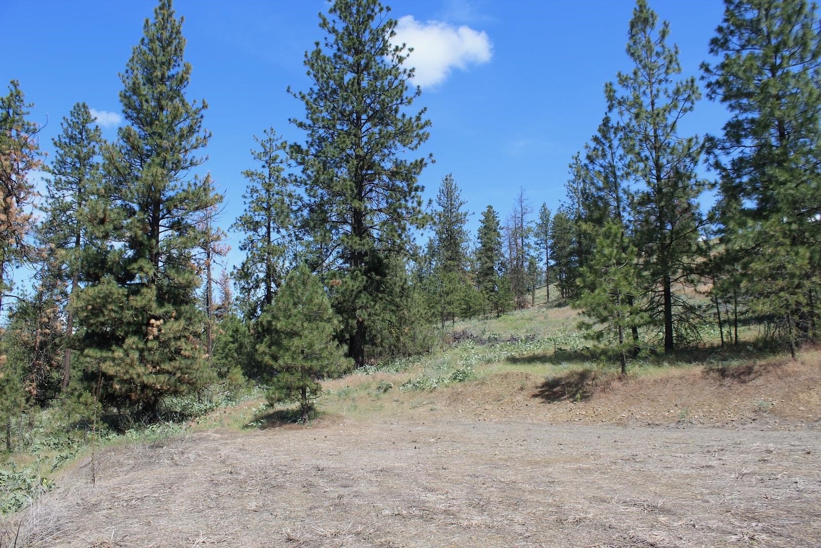 Flicker Lot 4 Sontag Ridge Dr - Photo 5
