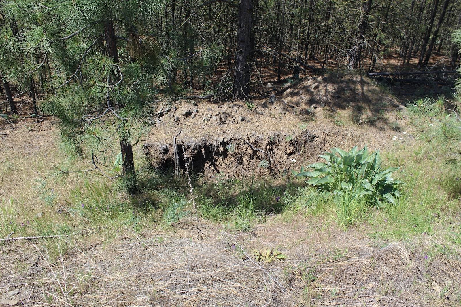 Flicker Lot 4 Sontag Ridge Dr - Photo 6