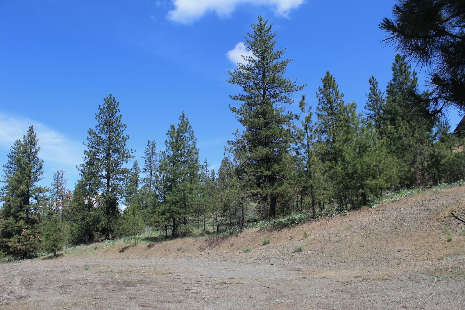 Flicker Lot 4 Sontag Ridge Dr - Photo 9