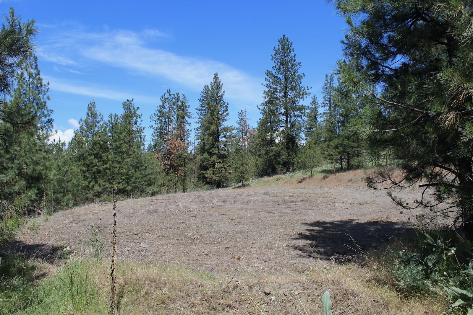 Flicker Lot 4 Sontag Ridge Dr - Photo 10