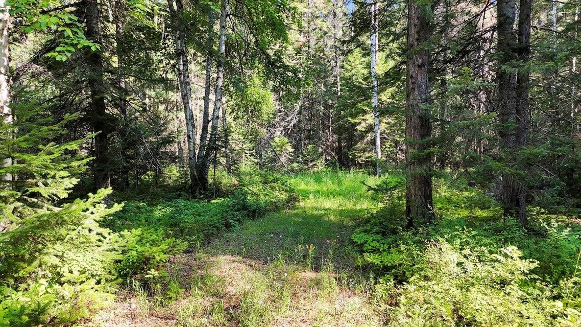 238 Rustic Rd - Photo 1