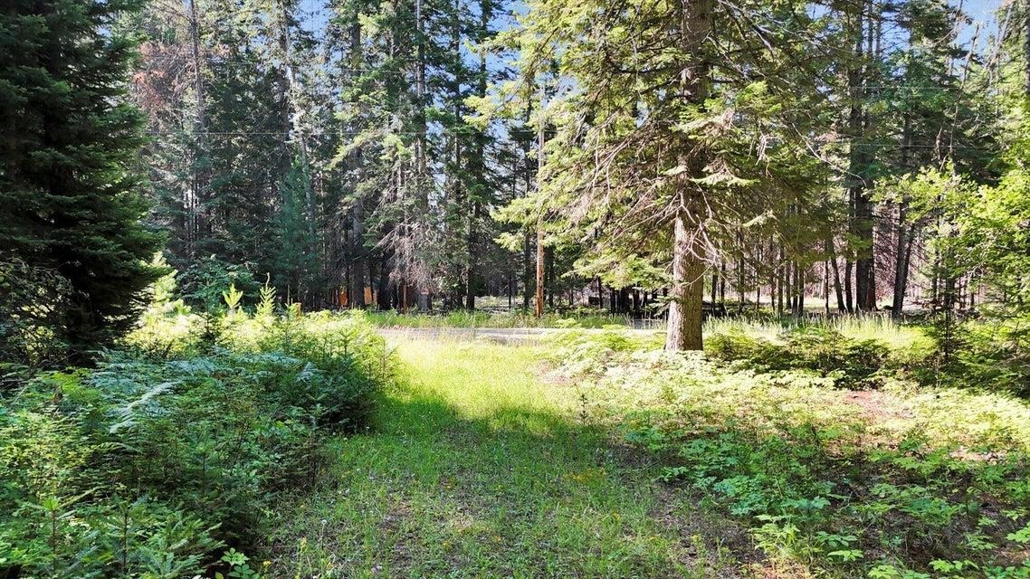 238 Rustic Rd - Photo 2
