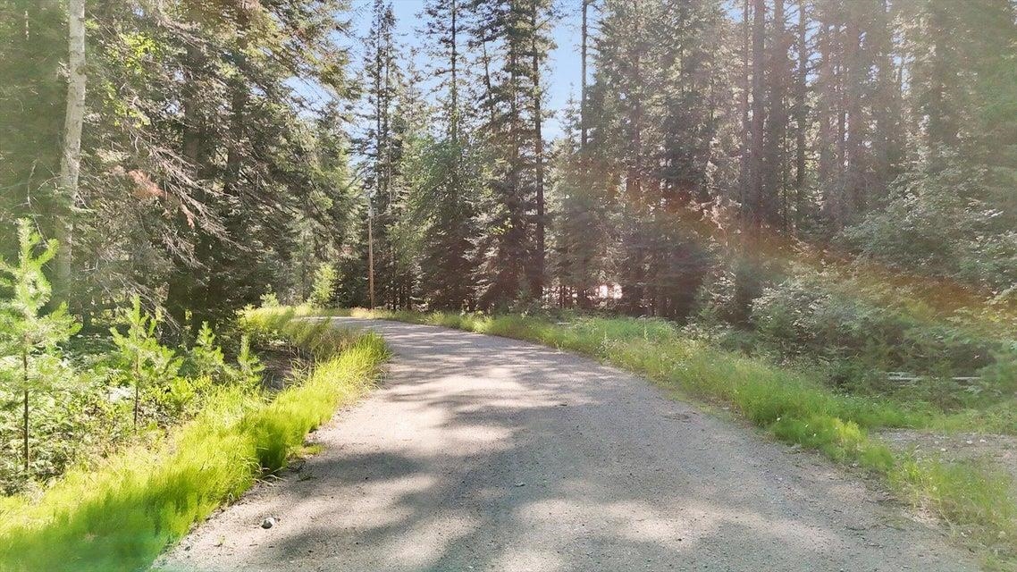 238 Rustic Rd - Photo 3