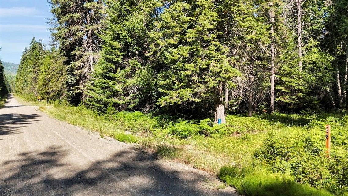 238 Rustic Rd - Photo 4