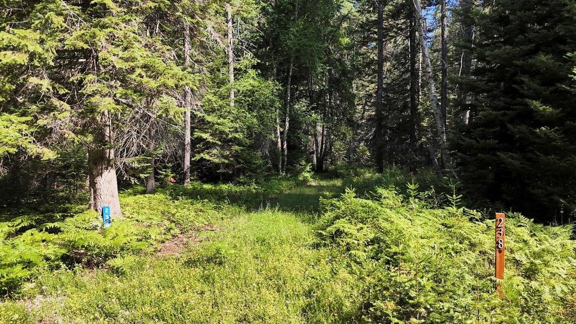 238 Rustic Rd - Photo 5