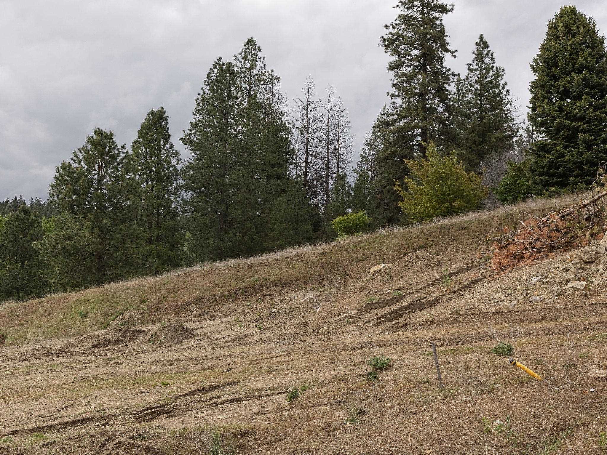 11817 E HONEYCOMB SPRINGS Ln - Photo 3