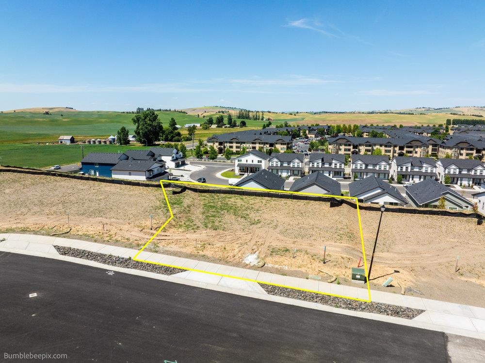 1105 Steptoe View Ln - Photo 1