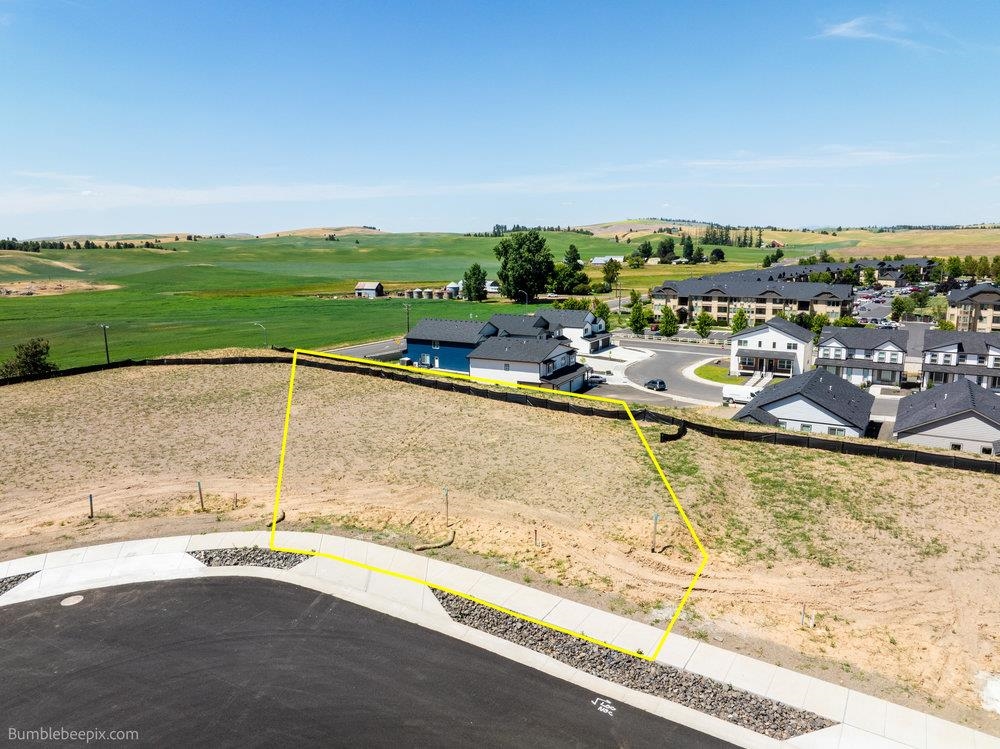 1109 Steptoe View Ln - Photo 1