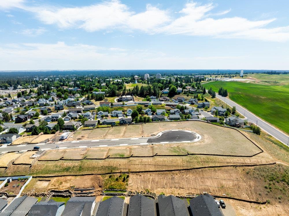 1113 Steptoe View Ln - Photo 4