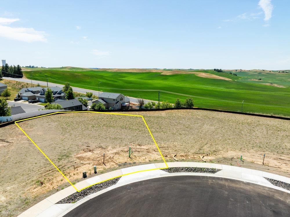 1108 Steptoe View Ln - Photo 1