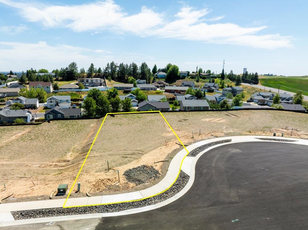 1030 Steptoe View Ln - Photo 1
