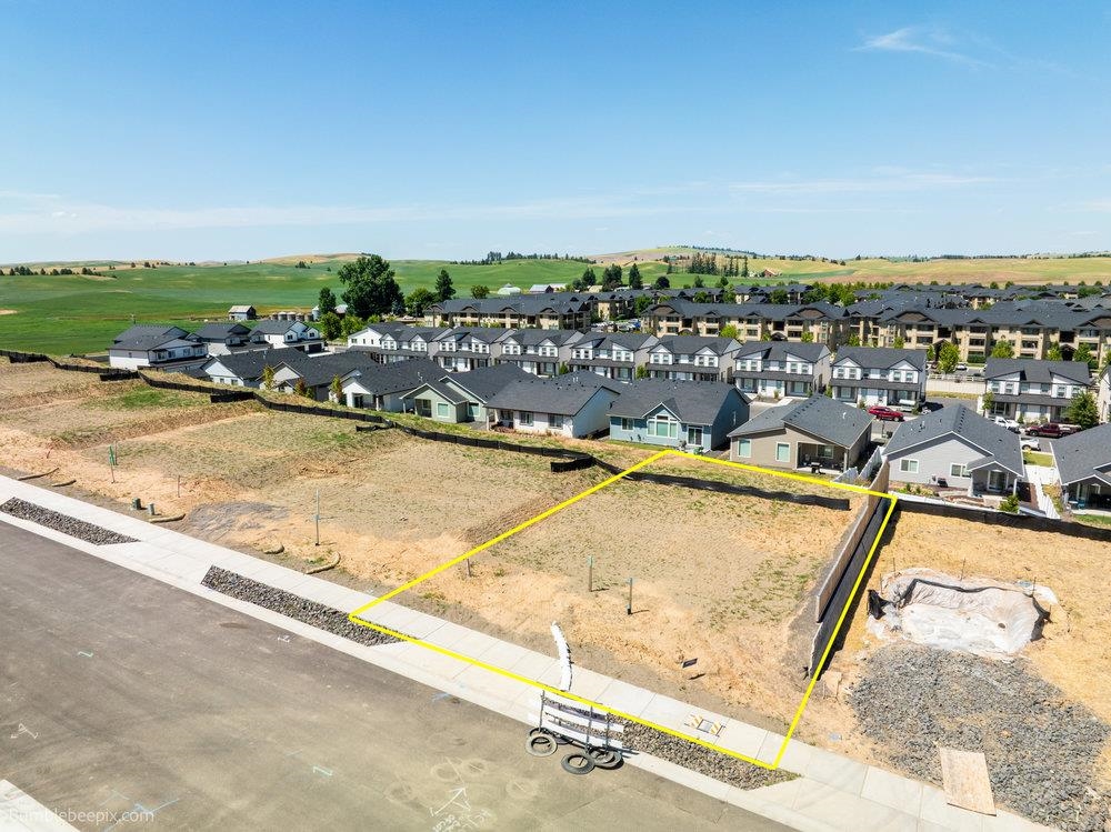 1003 Steptoe View Ln - Photo 1