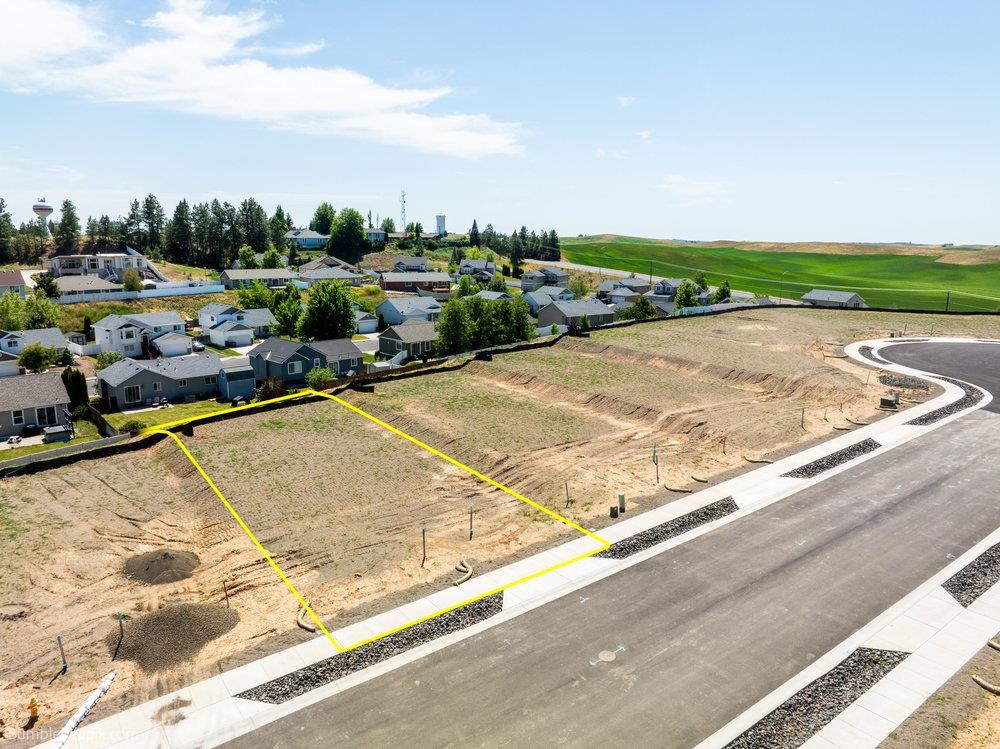 1006 STEPTOE VIEW Ln - Photo 1