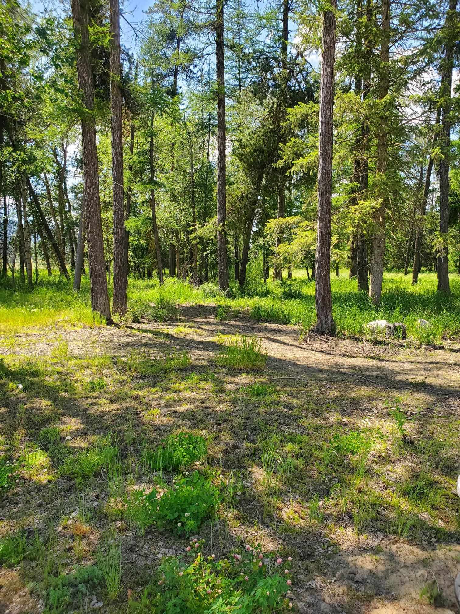 5166 Hattery Owens Rd - Photo 15