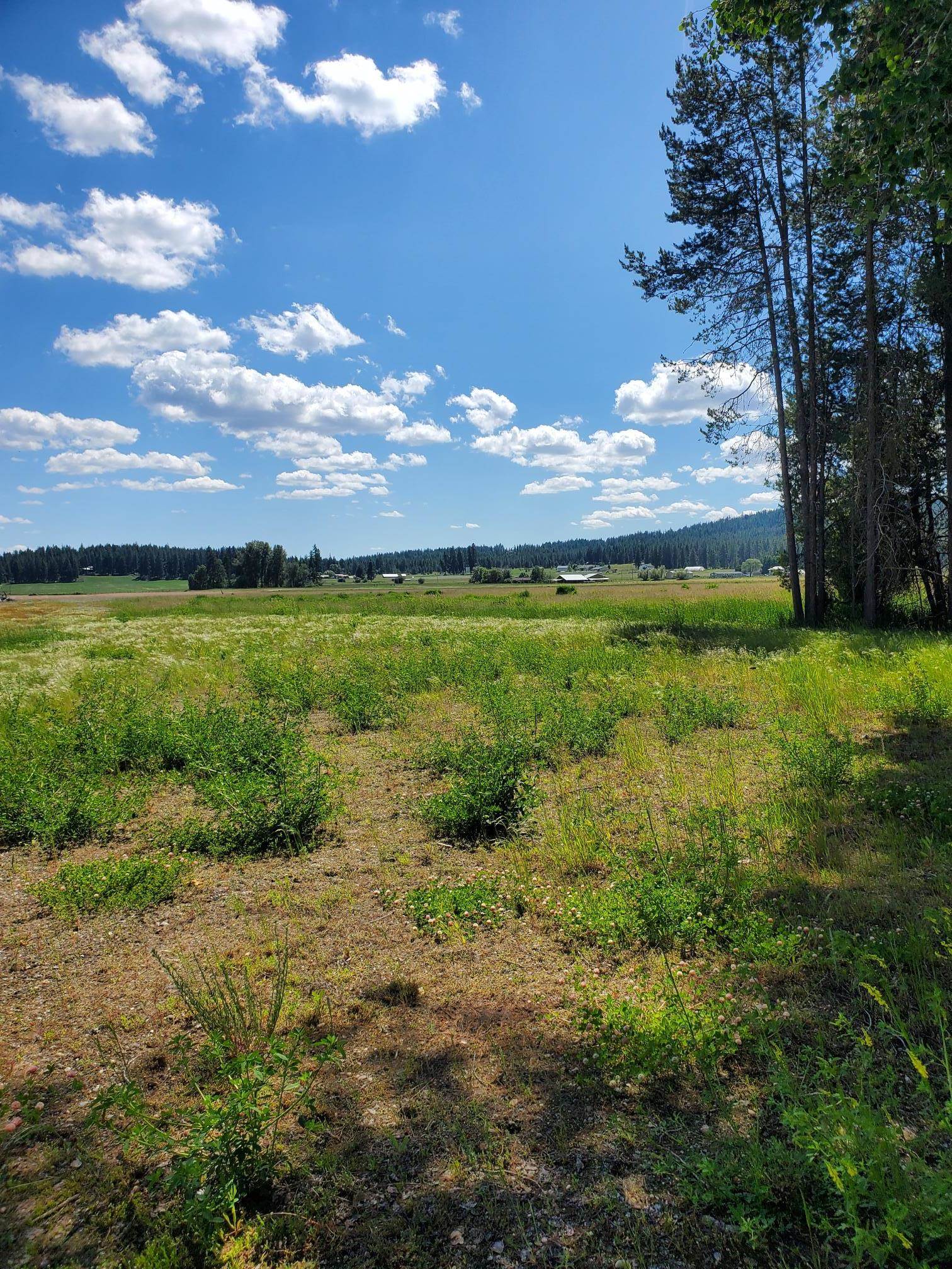 5166 Hattery Owens Rd - Photo 18