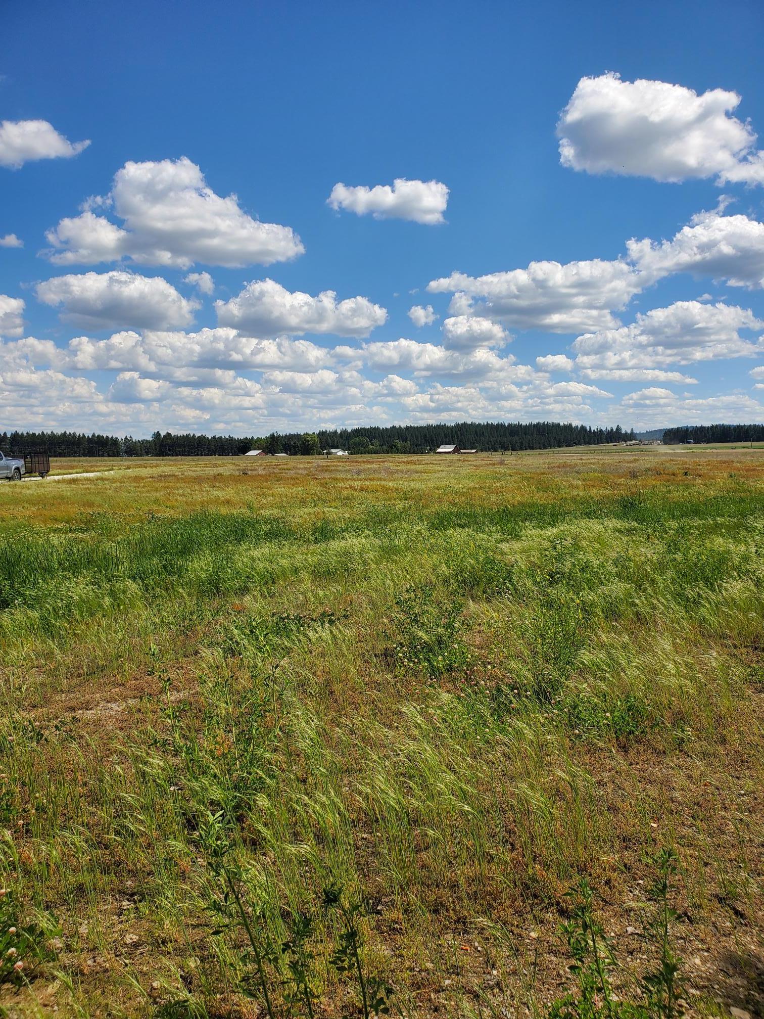 5166 Hattery Owens Rd - Photo 3