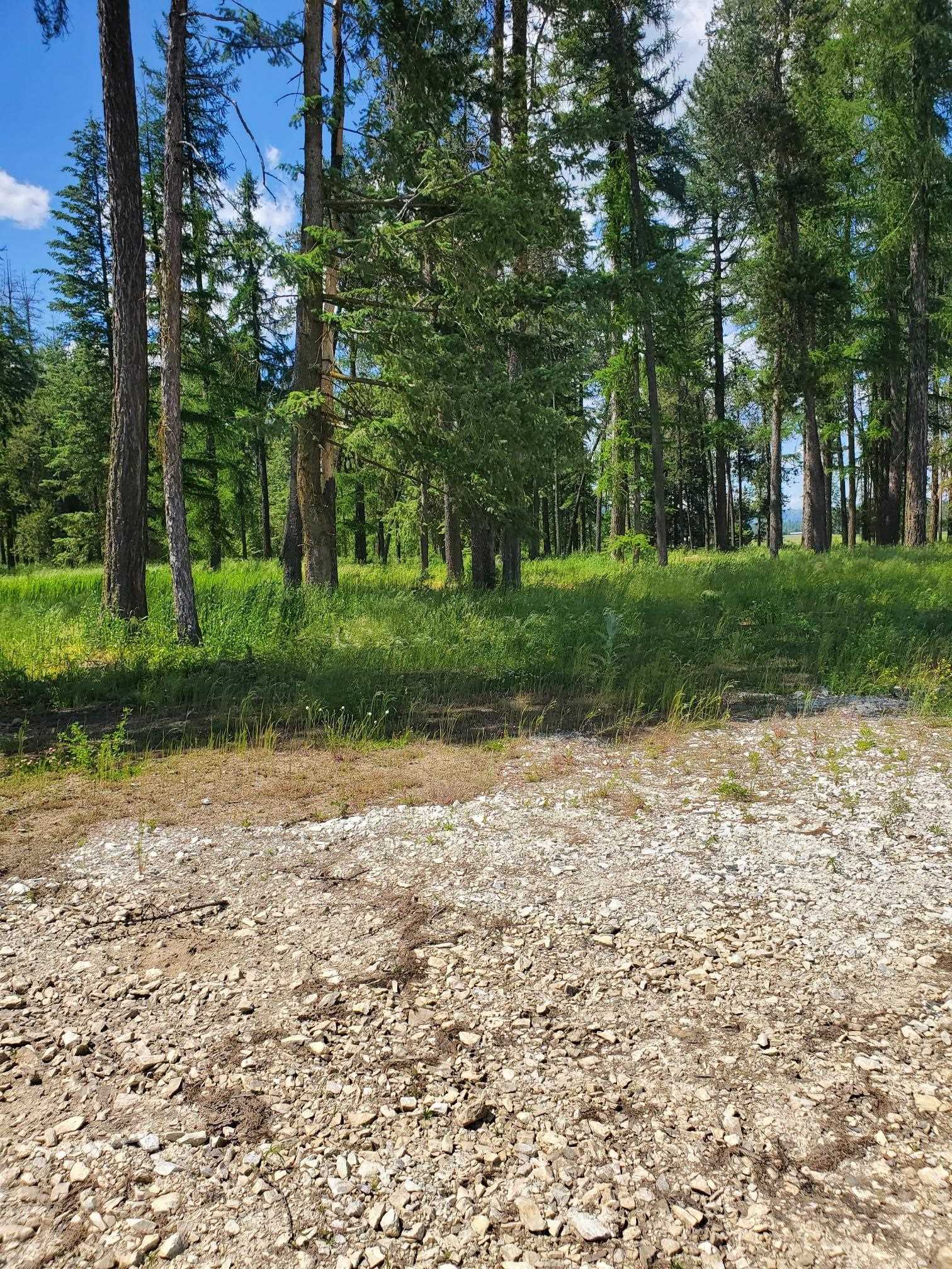 5166 Hattery Owens Rd - Photo 10
