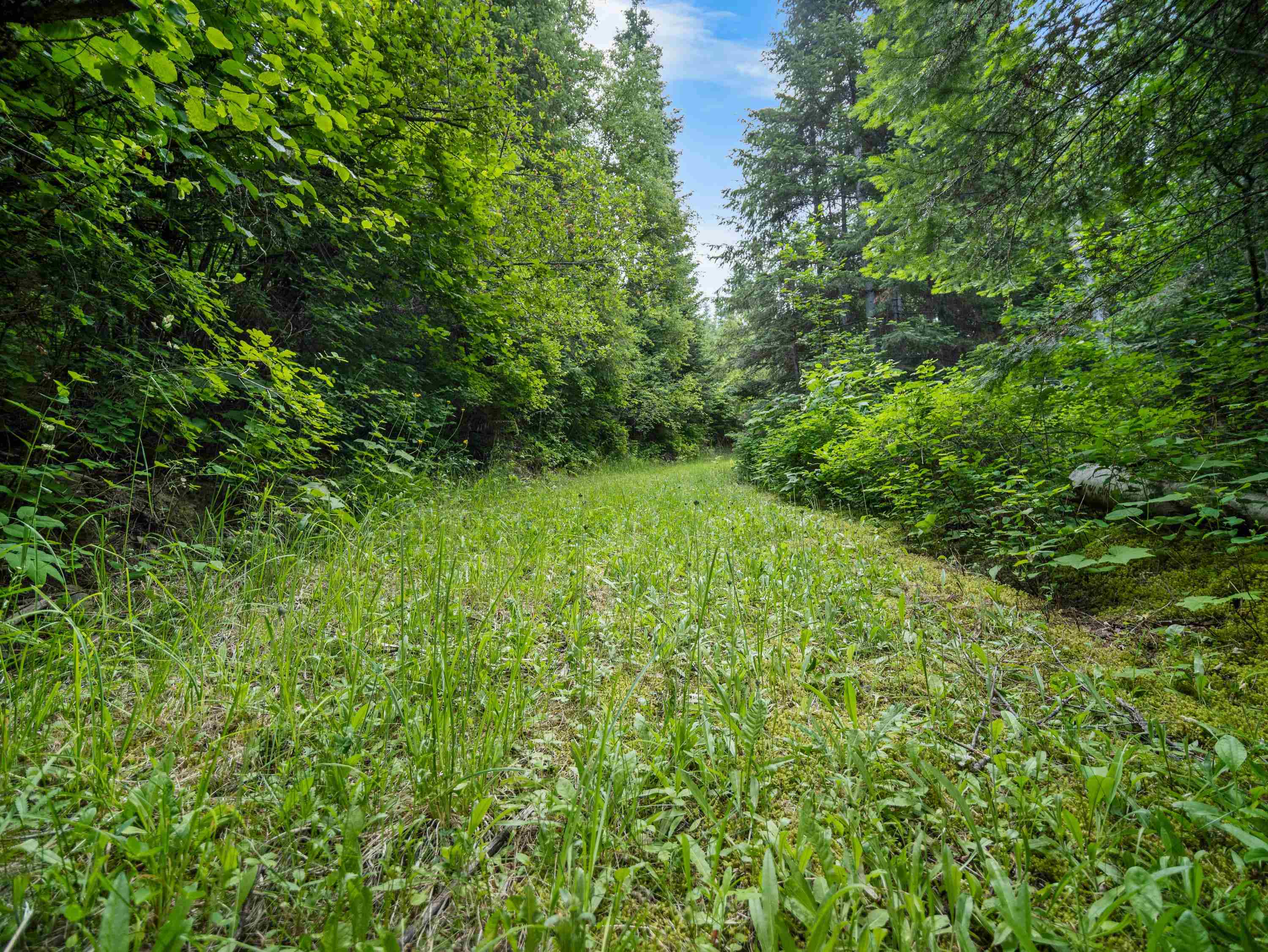 28251 N LeClerc Rd - Photo 32