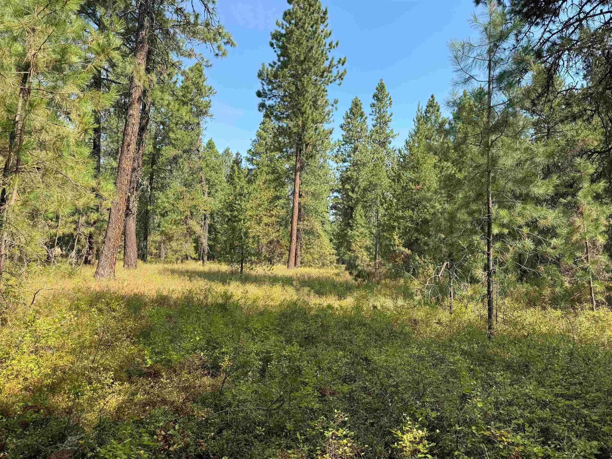 31912 N Division Rd - Photo 4