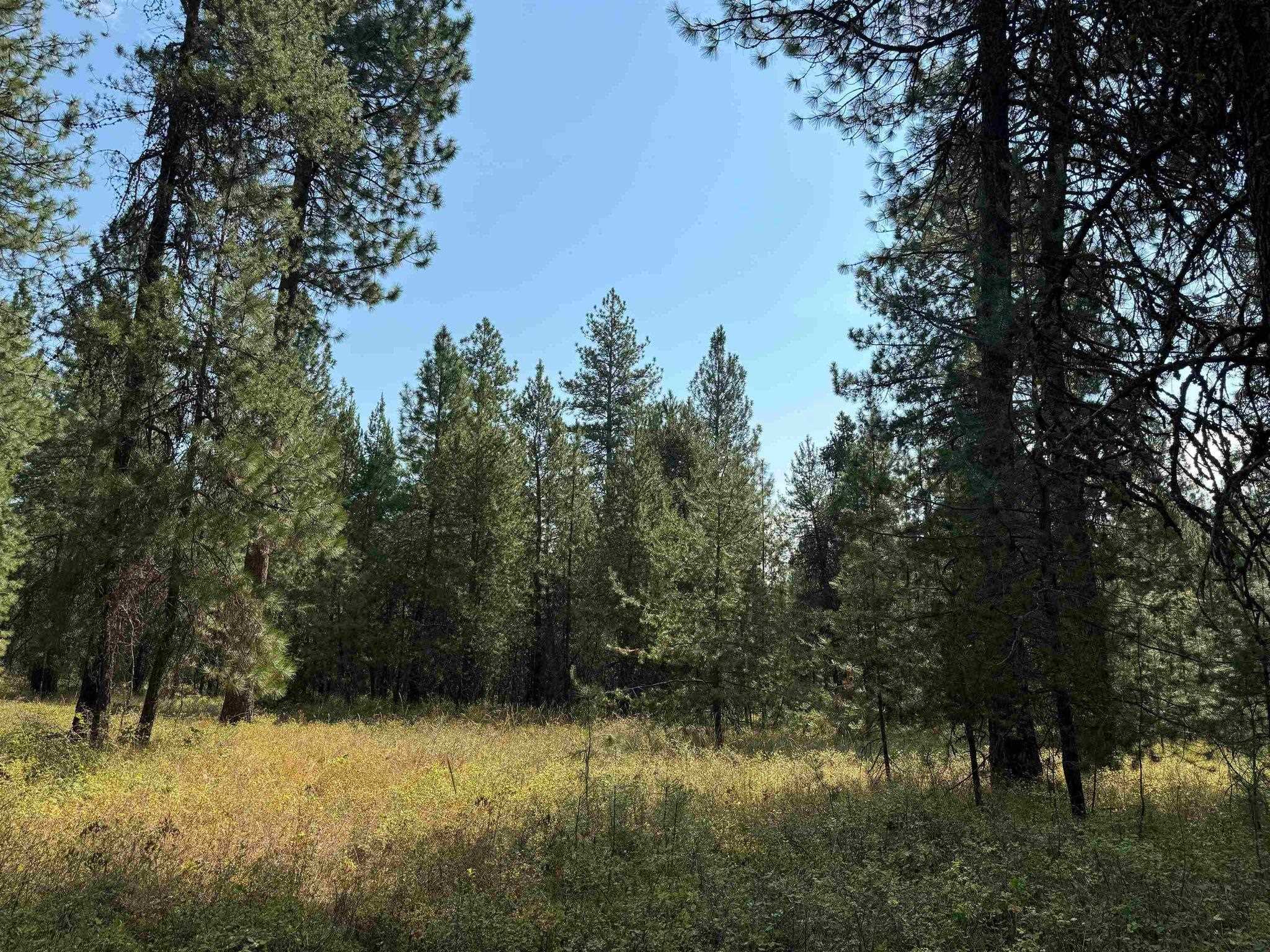 31912 N Division Rd - Photo 5