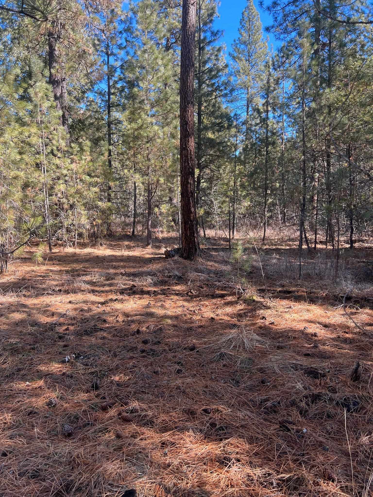 31912 N Division Rd - Photo 7
