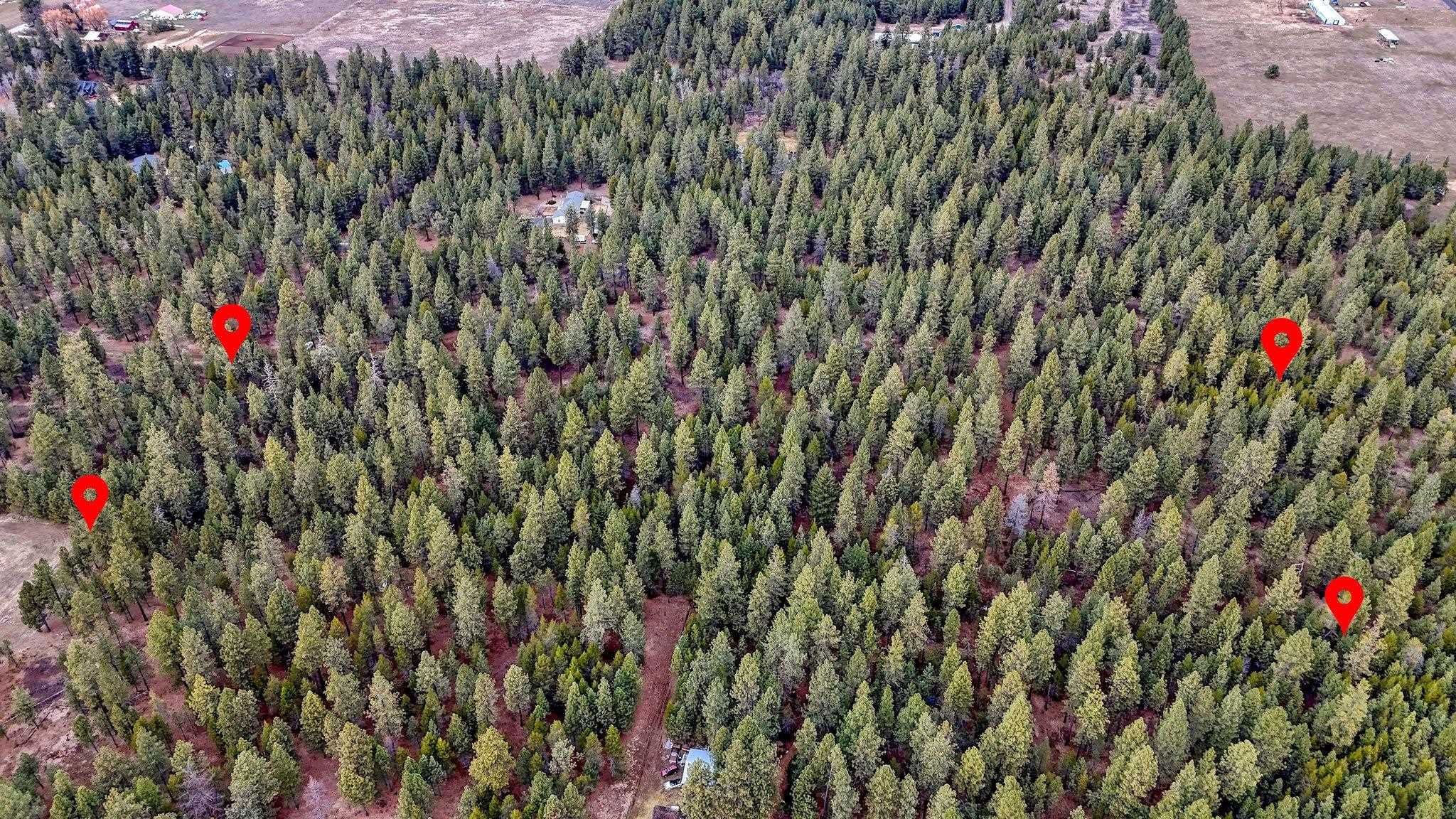 31912 N Division Rd - Photo 10