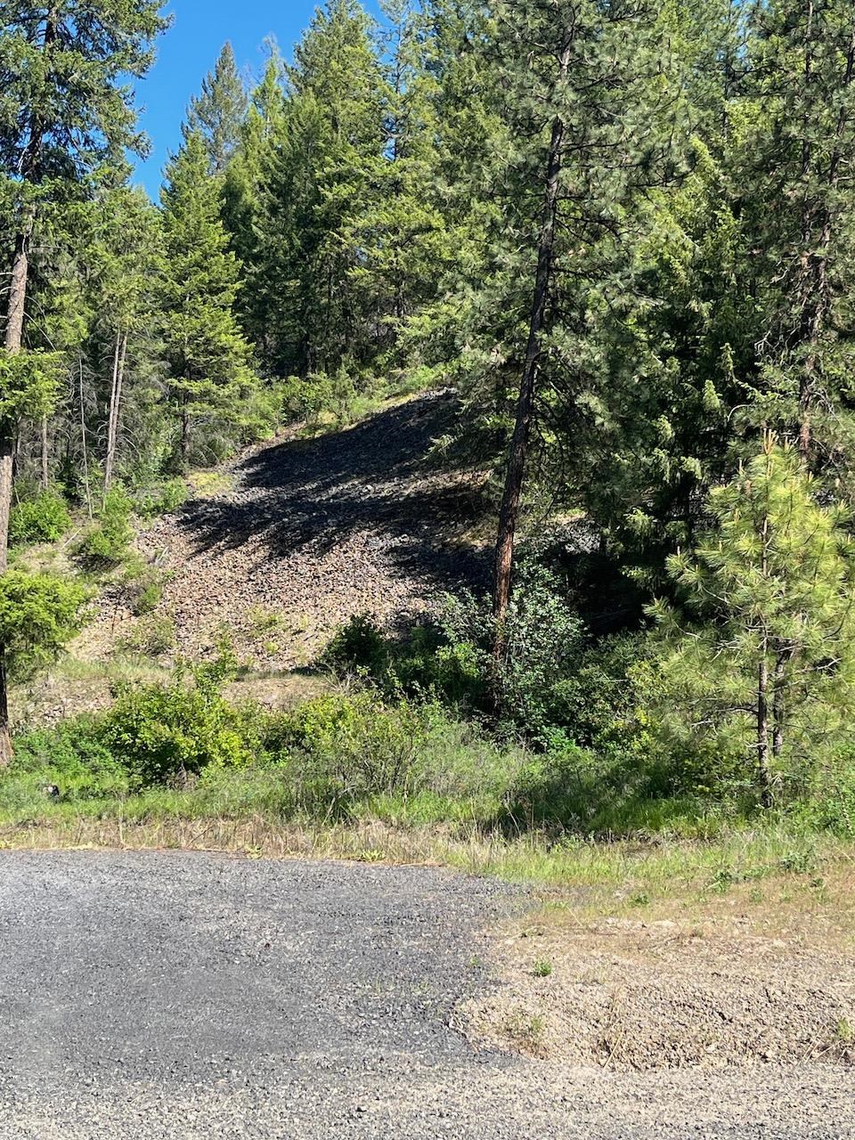 31270 Blue Grouse E Dr - Photo 2