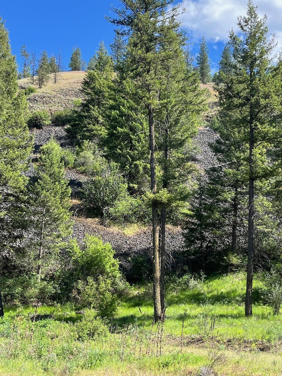 31270 Blue Grouse E Dr - Photo 3