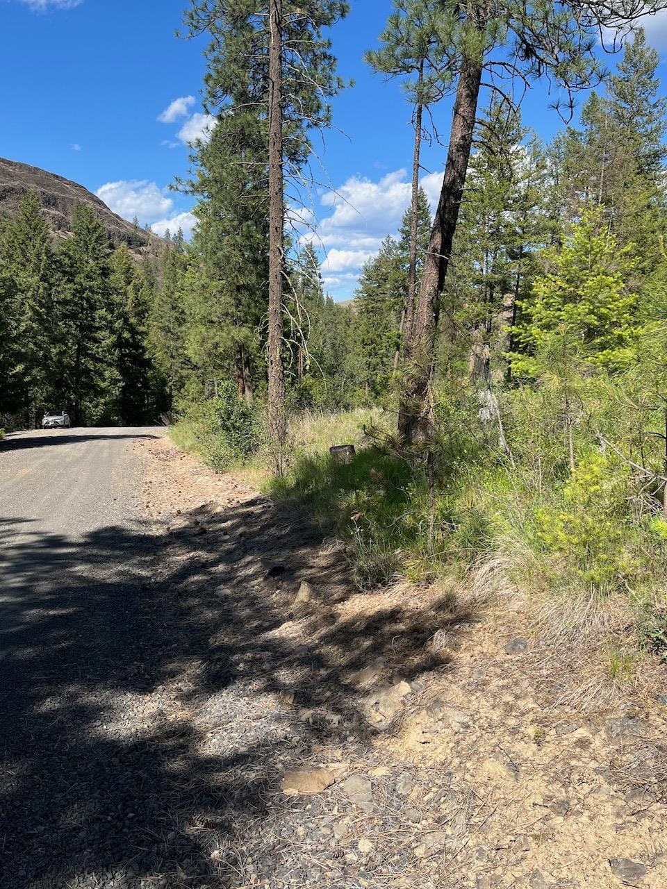 31270 Blue Grouse E Dr - Photo 9
